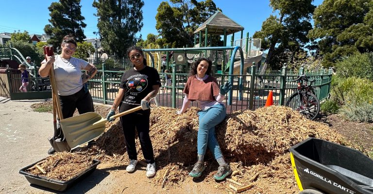 volunteers at koshland