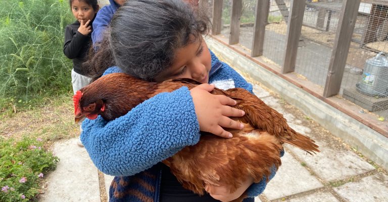 student with chicken - RP